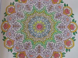 whatsapp bild 2024-07-12 um 12.04.43_d033dee7